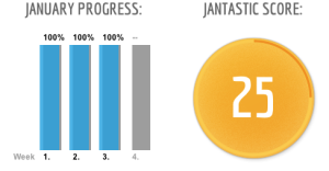 January's Jantastic Progress